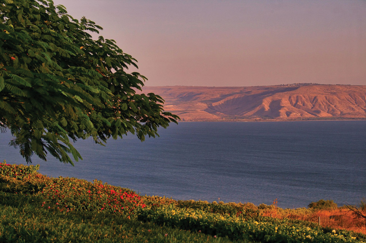 Read more about the article ויתילדו על משפחותם לבית אבותם