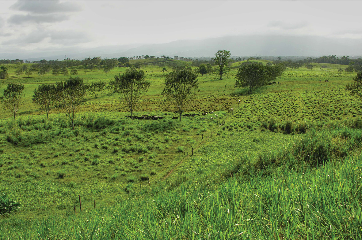 Read more about the article טעויות פאה נכרית ברחוב, והיתר מכירה, מחייבים לימוד זכות על חוגים אחרים